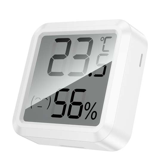 Hoco 2-in-1 Indoor Electric Hygrothermometer